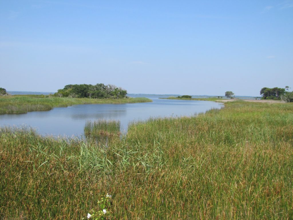 Outdoor Education at the Wildlife Refuge – Siebert Realty Blog ...