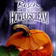 Busch Gardens Howl-o-scream